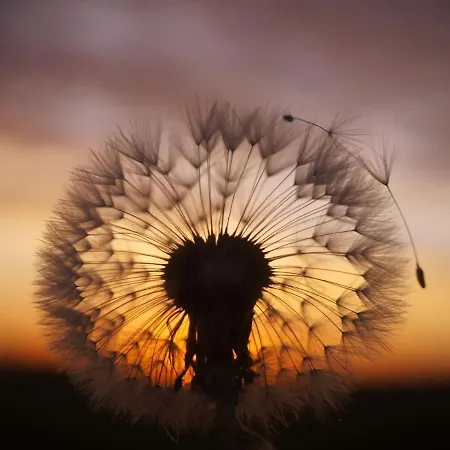 Bezaubernde Ferien-doppelhaushaelfte Fuer Familien Bis 4 Personen *